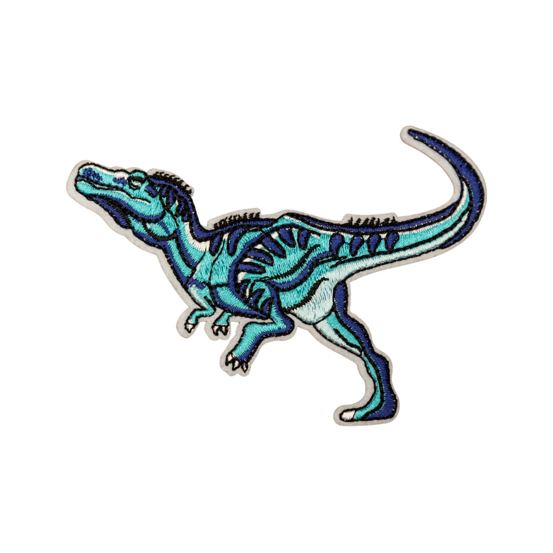 Dinosaur Patch #3