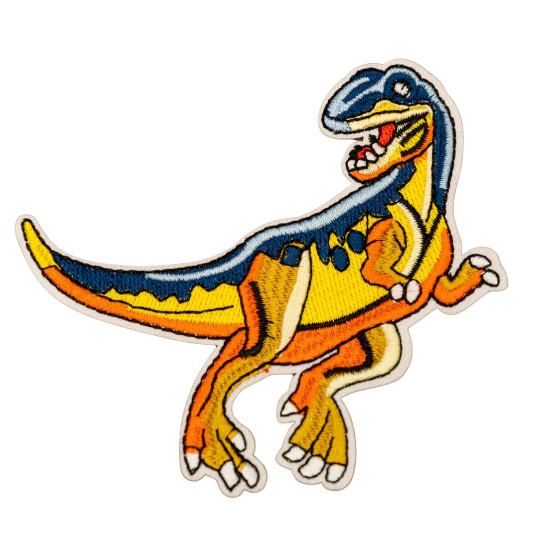 Dinosaur Patch #14