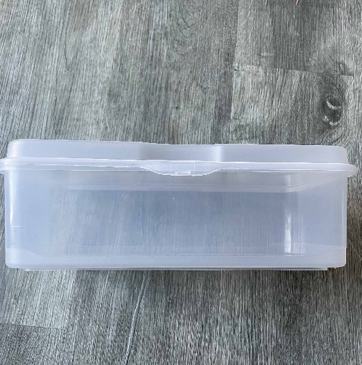 Flip Top Shoebox Storage Container