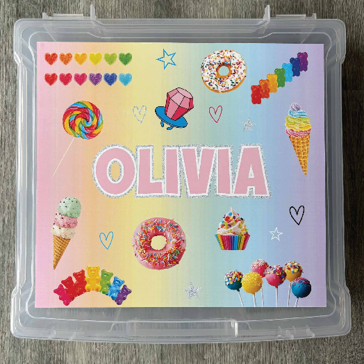 Large Storage Box